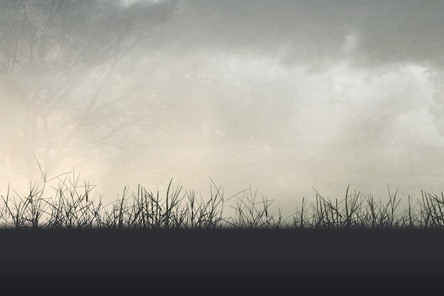 《西游记》中考训练题及答案？