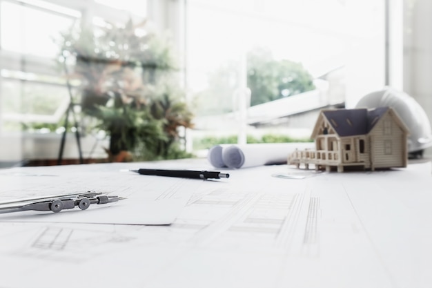 霸王鞭的养殖方法和注意事项