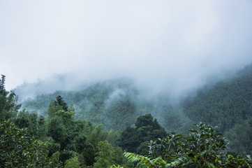 中医学九年制值得读吗
